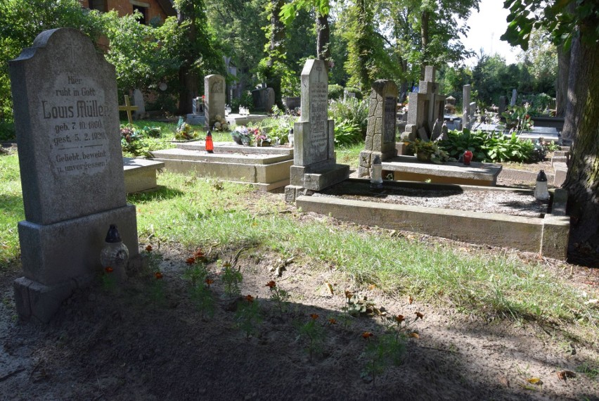 Zabytkowy cmentarz z XVIII wieku w Byczynie.