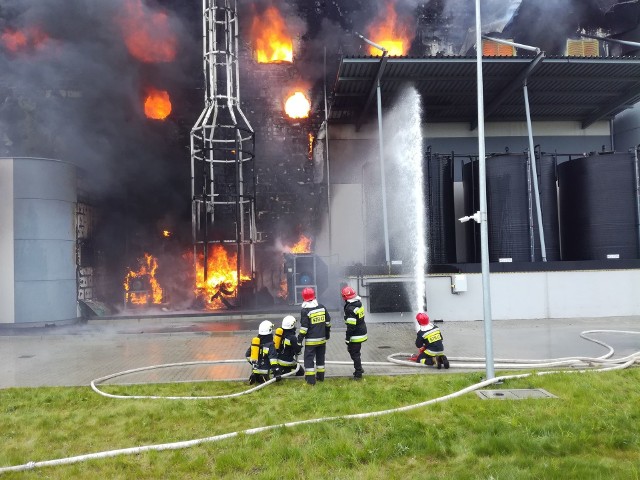 Strażacy wiele godzin walczyli z ogniem, który opanował ocynkownię w Dębskiej Woli.