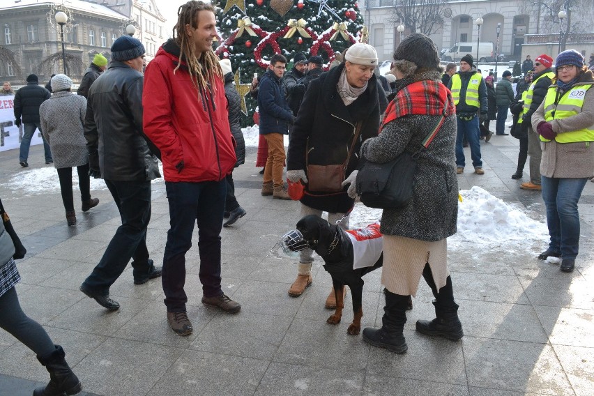 Manifestacja KOD w Bielsku-Białej. Mróz, demokracja, narodowcy i... poseł Pięta [ZDJĘCIA]