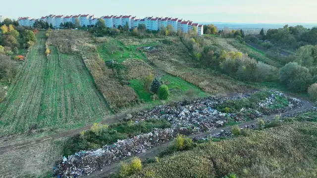 Góra śmieci powstała m.in. z rozebranych domków, altan i garaży