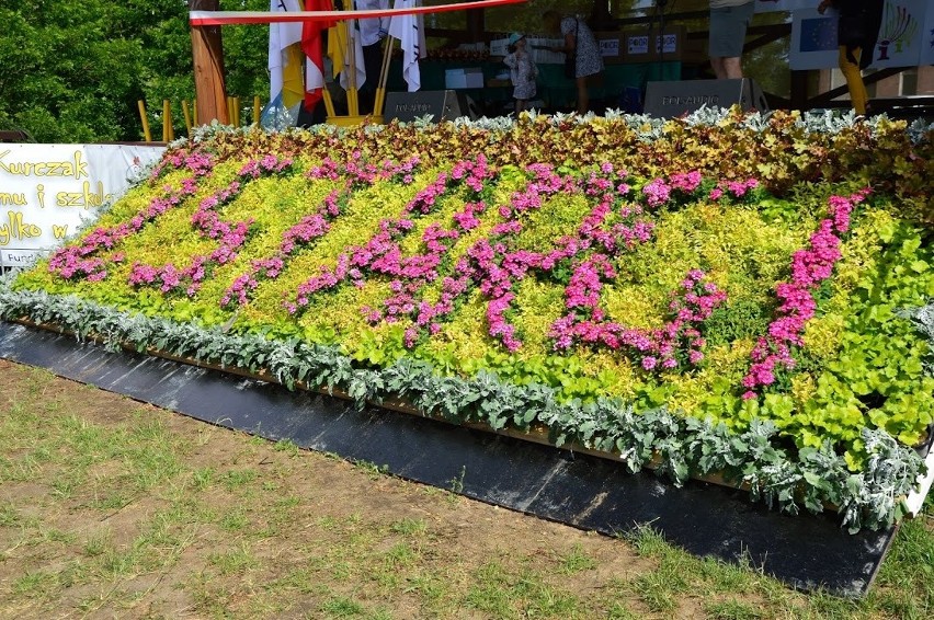 XXV Pomorskie Agro Targi i Wojewódzka Wystawa Zwierząt Hodowlanych w Lubaniu [ZDJĘCIA]