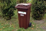 Bioodpady odbierane w Jaworznie tylko z pojemników. Co, gdy się za szybko napełnią?