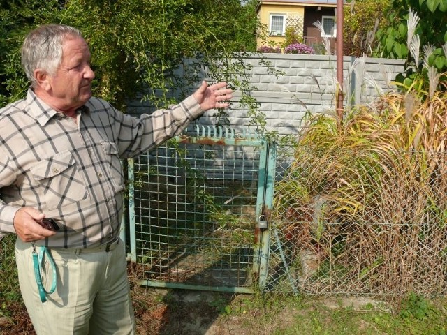 Zdaniem prezesa Józefa Stecia płot z siatki musi zniknąć. W głębi działka Małgorzaty Nieznalskiej i jej altanka.