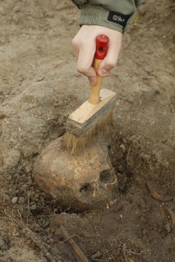 Ludzka czaszka znaleziona podczas prac drogowych na Szosie...