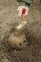 Ludzka czaszka znaleziona podczas prac drogowych na Szosie Lubickiej