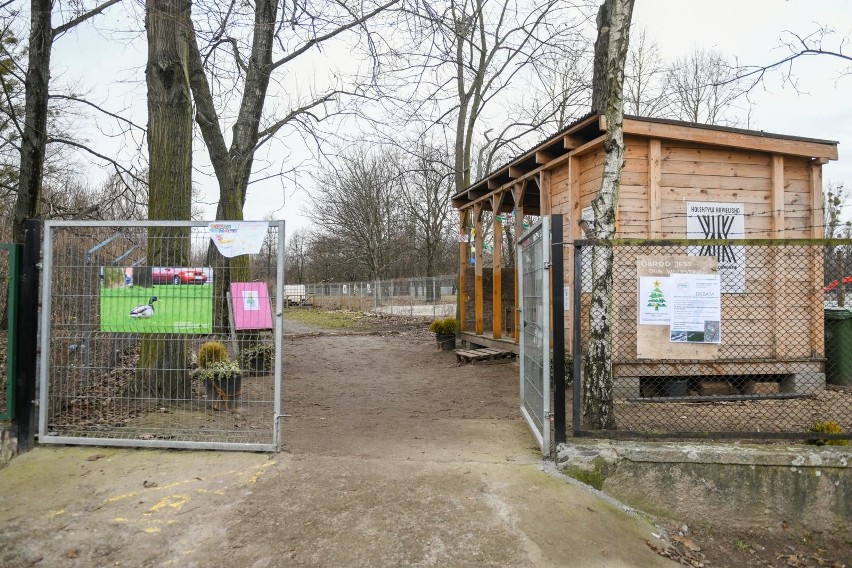 Ogród społeczny Kolektyw Kąpielisko w Poznaniu po pięciu...