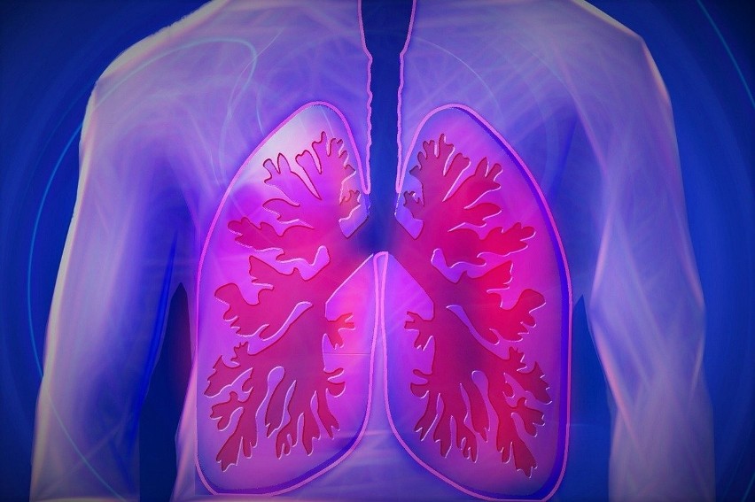 Jakiego pulmonologa wybrać? Ranking specjalistów