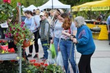 Jarmark ogrodniczy "Kresowy ogród". Rośliny opanowały plac przed Teatrem Dramatycznym. Sprawdź, co można kupić! (zdjęcia) 