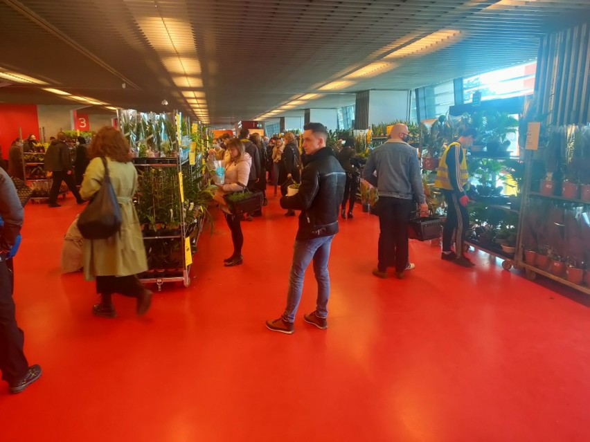 Festiwal Roślin na stadionie miejskim przyciągnął tłumy. Trzecia edycja największego targu roślin doniczkowych w Białymstoku rozpoczęta!