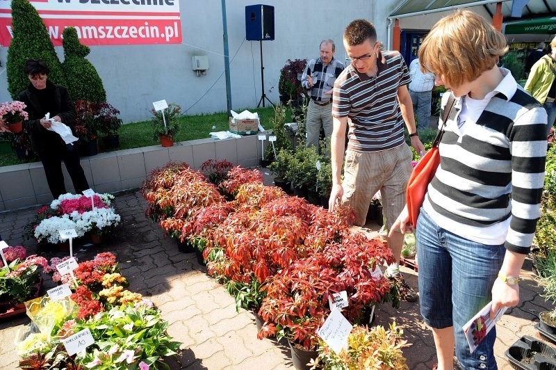 Giełda ogrodników i pszczelarzy w halach centrum wystawienniczego Międzynarodowych Targów Szczecińskich 