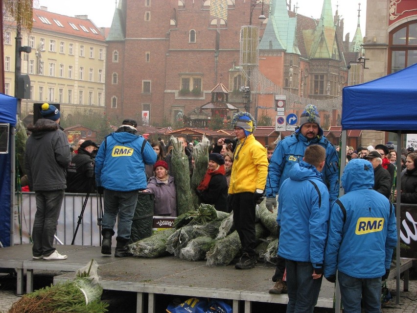 Wrocław, darmowe choinki na placu Solnym