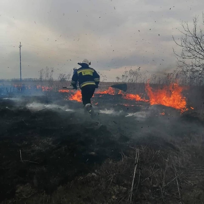 Strażacy z gminy Słomniki kilka razy w tym roku jeździli do...