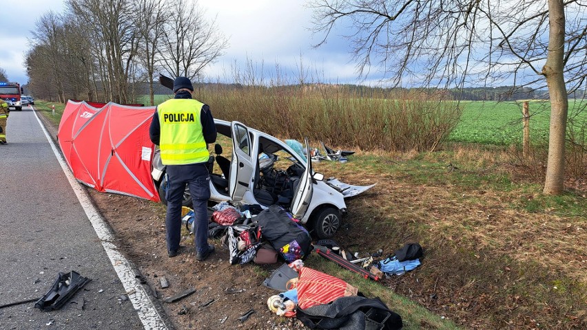 Śmiertelny wypadek na drodze krajowej 21 pomiędzy Dretyniem...