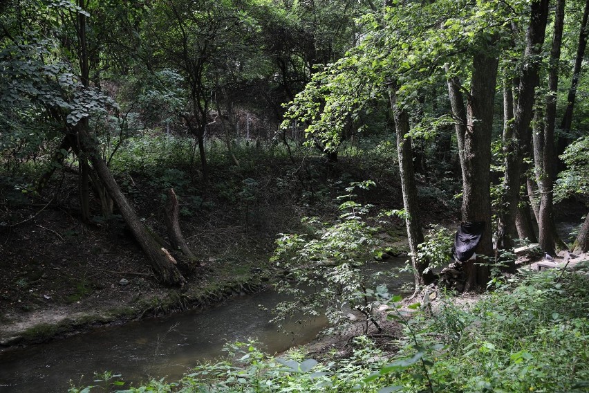 Park rzeczny powstanie nad rzeką Białuchą