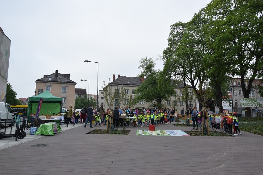 Międzynarodowy Dzień Pszczół w Słupsku. Dzieci lgną do miodu