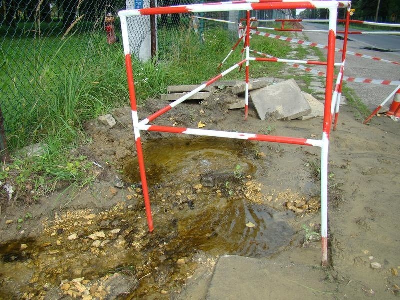 Od kilkunastu dni z uszkodzonej rury przy dawnej drodze zakładowej Synthosu tryska woda