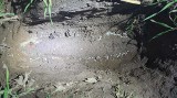 Niewybuch artyleryjski znaleziony na jednym z włodawskich pól