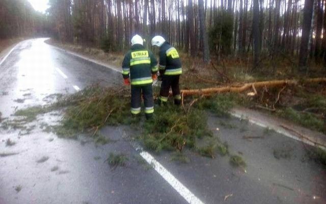 Zdjęcie ilustracyjne.