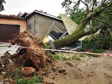 Gwałtowna burza przeszła przez region koszaliński. Zalane ulice i domy, powalone drzewa [ZDJĘCIA]