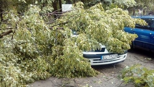 Burza w Łodzi. Nawałnica nad Łodzią. Powalone drzewa, gałęzie na drogach, zalane ulice [ZDJĘCIA]