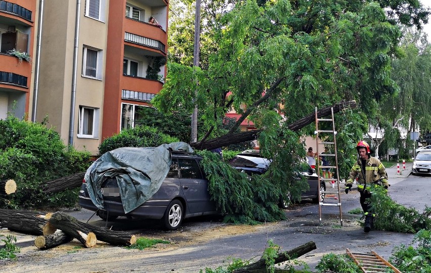 Kraków. Drzewo spadło na samochód. Trwa usuwanie szkód [ZDJĘCIA]