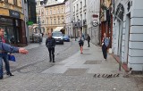 Nurogęś z małymi na ulicy Długiej. Ludzi się nie bała, bo Bydgoszcz to jej miasto! [zdjęcia]