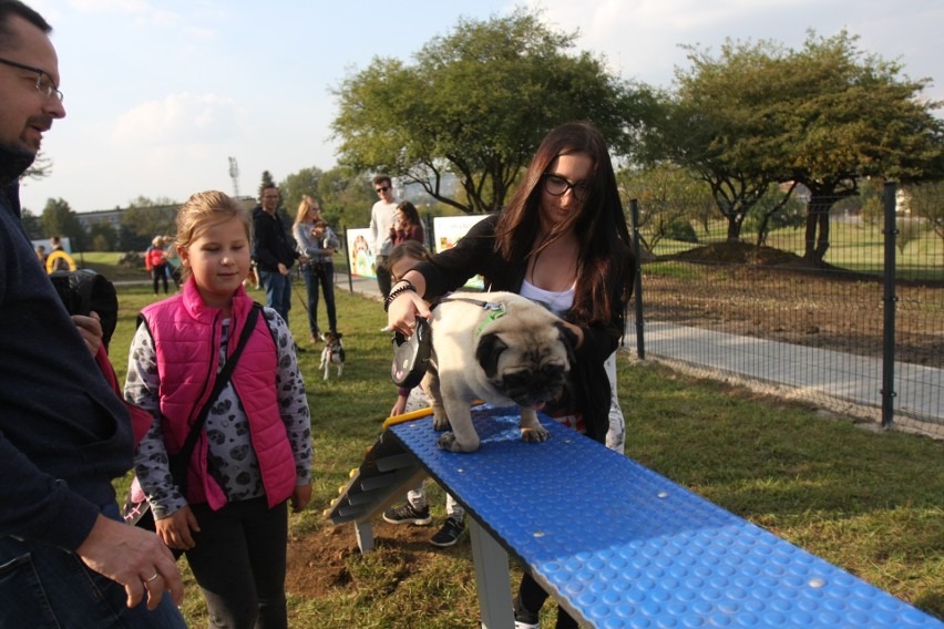 Park Psiej Aktywności w Będzinie