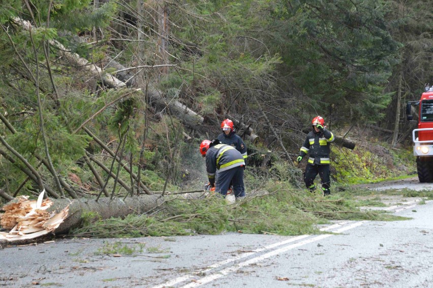 Zakopane. Halny daje się we znaki. Już 15 interwencji straży pożarnej [ZDJĘCIA]