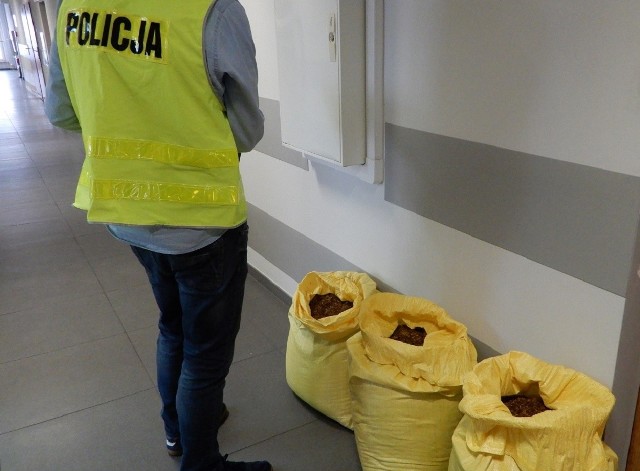 Policjanci z Włocławka zabezpieczyli w jednym z aut 44 kg krajanki tytoniowej bez polskich znaków akcyzy. Zatrzymany do sprawy 29-latek usłyszał już zarzut. Grozi mu mu wysoka grzywna. Przestępstwem tym naraził Skarb Państwa na straty w wysokości 45 tys. złotych.