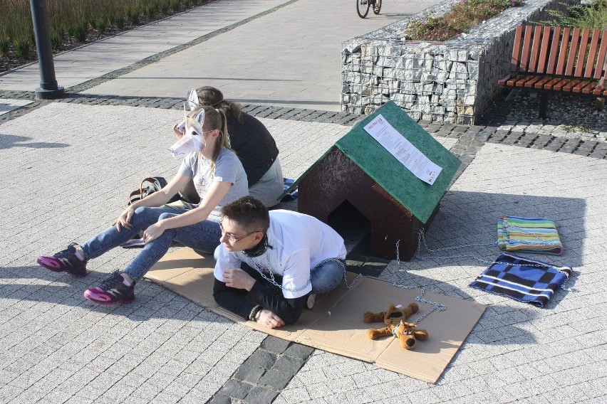 Ludzie w budzie i przykuci łańcuchem to happening akcji...