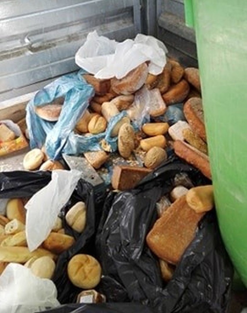 W Biedronce w Toruniu jedzenie trafiło na śmietnik! Sieć wyjaśnia [Zdjęcia]
