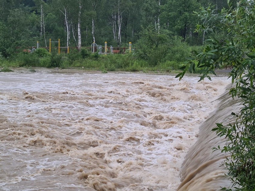 Nowy Sącz.  Wzburzony Dunajec przybiera na sile. Kamienica przekroczyła stan ostrzegawczy [ZDJĘCIA]