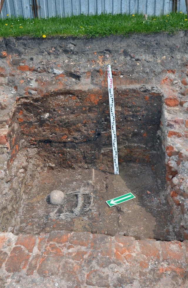 Racibórz: Szkielety skazańców archeolodzy odkryli przy rynku