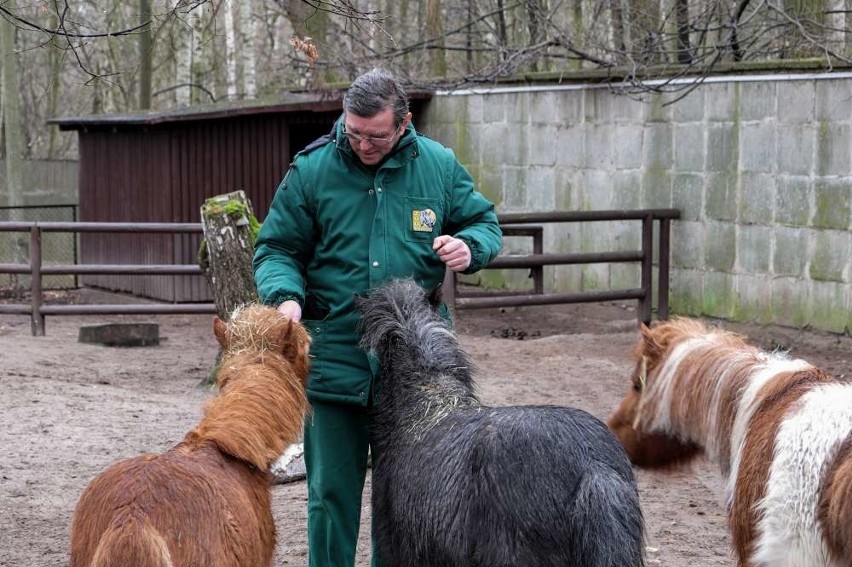Uwieczniają mieszkańców poznańskiego zoo