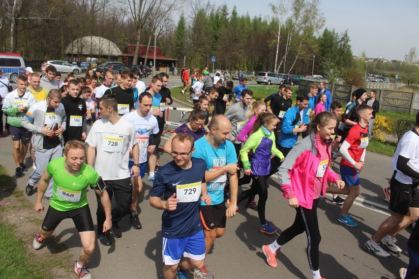 Katowicki Festiwal Biegowy im Jerzego Kukuczki 2016