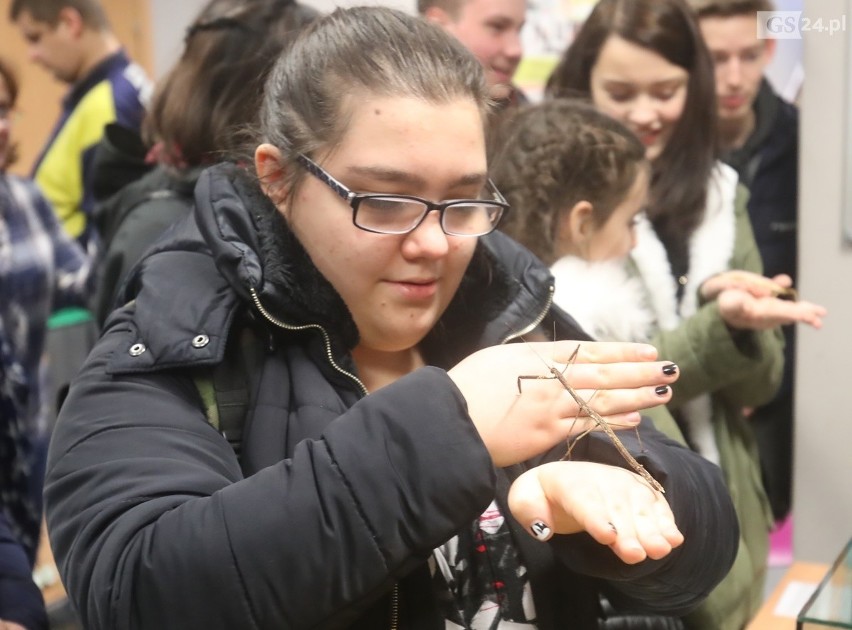 Noc Biologów w Szczecinie. Można zobaczyć pajęczaki, węże i owady [WIDEO]