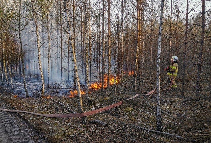 W poniedziałek, 2 maja 2022 roku, doszło do pożaru lasu na...