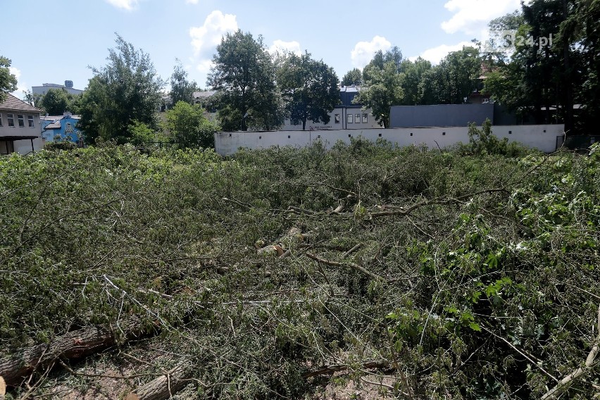 Wycięte drzewa przy ul. Ojca Beyzyma w Szczecinie. Mieszkańcy zaniepokojeni 