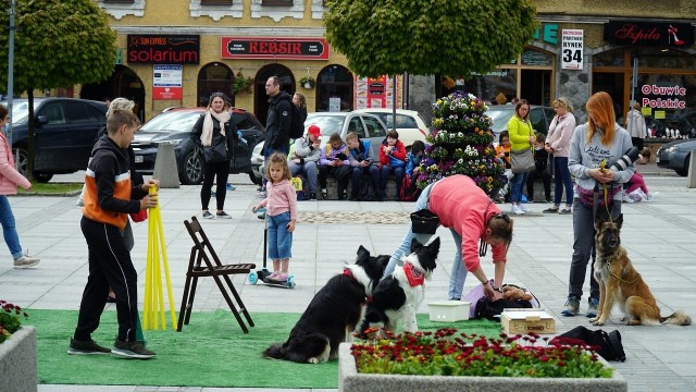 W Nowym Targu szykują się spore atrakcje dla najmłodszych