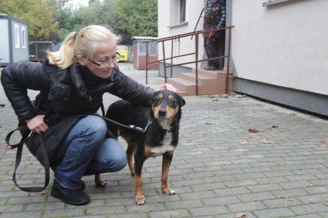 - Pamiętajmy, najlepszym prezentem jest adopcja - nie ma to jak dobry i kochający opiekun, który podaruje bezpieczny dom na zawsze - czytamy na stronie internetowej schroniska.