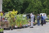 Miłośnicy przydomowych zieleńców kupią rośliny, podłoże, akcesoria