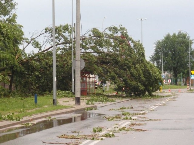 Niedzielna nawałnica wyrządziła wielkie szkody w Białymstoku
