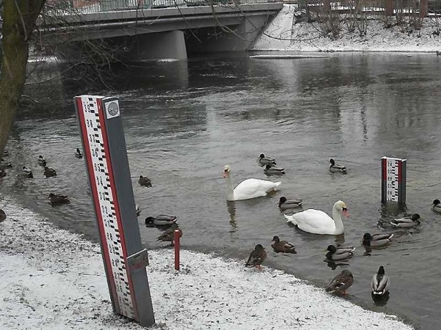 Poziom Drwęcy w Brodnicy wynosił wczoraj 1,82 m