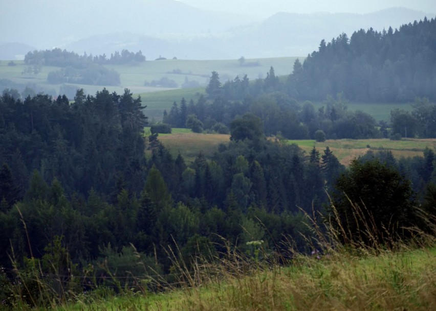 Odkryj Beskid Wyspowy. W sobotni wieczór wspięli się na Ćwilin, a w niedzielny poranek pokonali Łopusze Wschodnie