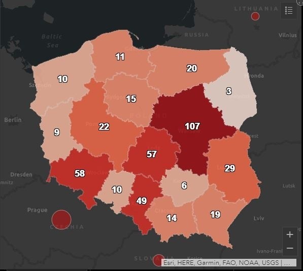 Koronawirus w Polsce najnowsze dane [MAPA, WYKRESY, LICZBY] 24.03.2020