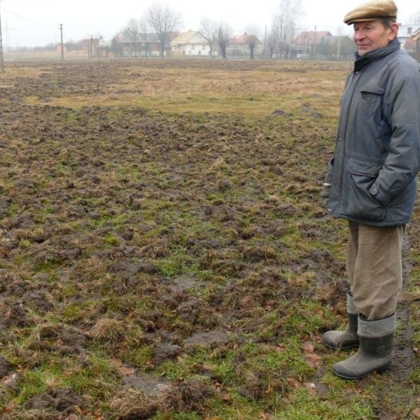 Karol Wdowiak przy łące zrytej przez dziki.