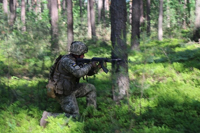 ANAKONDA-16 to szósta edycja ćwiczeń, a trzecia w wymiarze międzynarodowym z udziałem przedstawicieli sił zbrojnych 24 państw sojuszniczych i partnerskich. Ćwiczenie jest najważniejszym przedsięwzięciem szkoleniowym SZ RP w 2016 roku. 