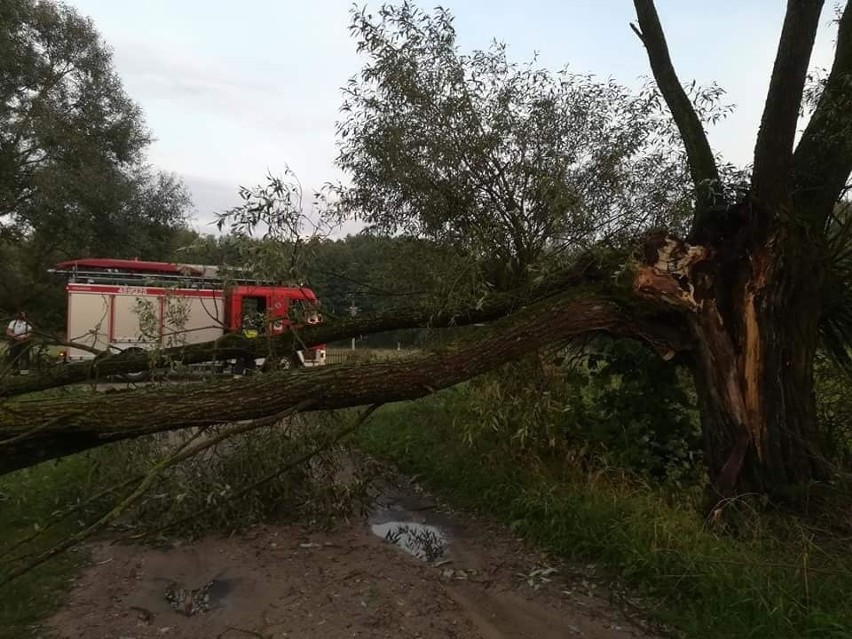 Burze w Podlaskiem 14.08.2018: Zerwane dachy, powalone drzewa, ponad 200 interwencji straży pożarnej [ZDJĘCIA]