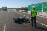 Śmierć motocyklisty na drodze S-14 w Konstantynowie Łódzkim. 49-latek najechał na martwego lisa...