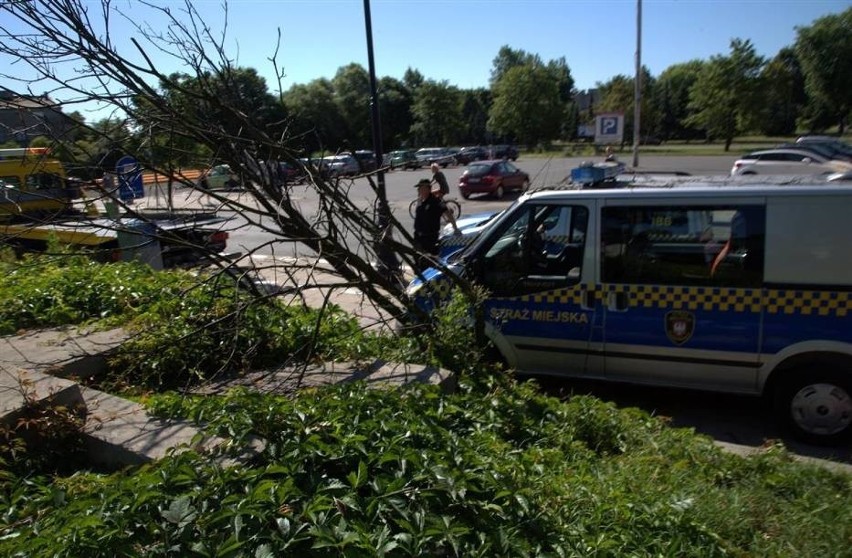 Wypadek w Piotrkowie. Strażnik miejski staranował znak drogowy [ZDJĘCIA]
